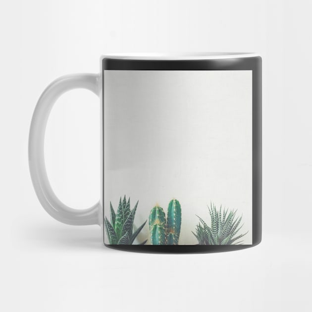 Cactus & Succulents II by Cassia